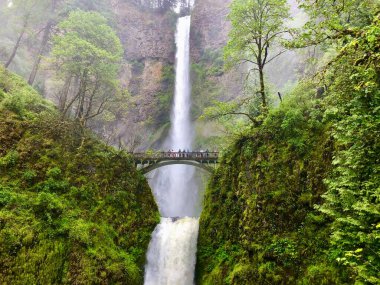 Columbia River Gorge Oregon Multnomah Falls