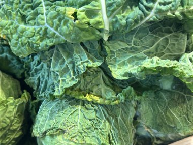 Parlak Yeşil Lahana Yaprakları Yakın plan