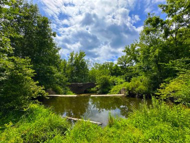 Ormanda küçük bir gölet