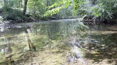 Etrafındaki ağaçları yansıtan bir dere, ağaçların arasından usulca akıyor.