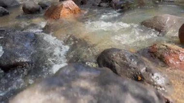 Ormandaki kayalar arasında akan bir dere.