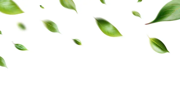 Grüne Schwimmende Blätter Fliegende Blätter Grünes Blatt Tanzen Luftreiniger Atmosphäre — Stockfoto
