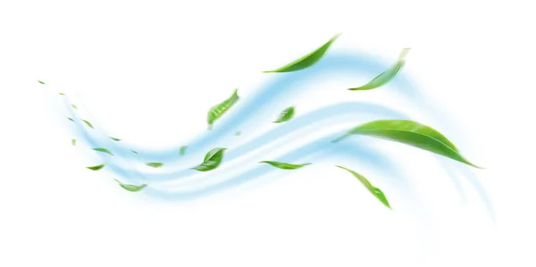 Grüne Schwimmende Blätter Fliegende Blätter Grünes Blatt Tanzen Auf Weißem lizenzfreie Stockfotos