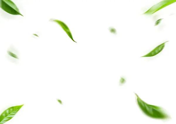 Fliegende Grüne Blätter Auf Weißem Hintergrund Frisches Frühlingslaub Umwelt Und lizenzfreie Stockfotos