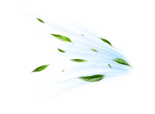 Grüne Schwimmende Blätter Fliegende Blätter Grünes Blatt Tanzen Auf Weißem lizenzfreie Stockbilder