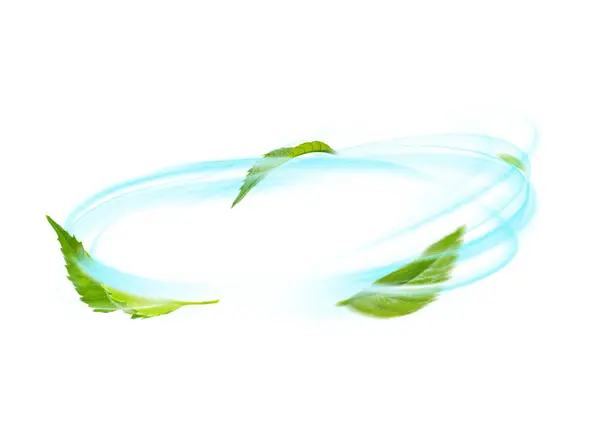 Grüne Schwimmende Blätter Fliegende Blätter Grünes Blatt Tanzen Auf Weißem Stockbild