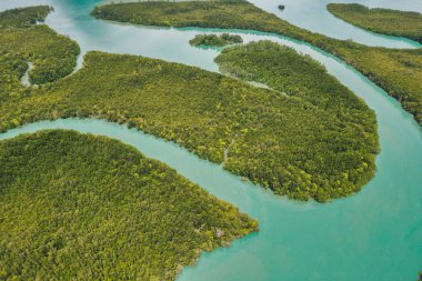 Hava aracı görüntüsü mangrov ormanı ve Tayland 'ın Phang nga körfezi dağ zirvesi.