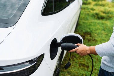 Elektrikli araba ya da ev istasyonda şarj oluyor. Adam beyaz güç kablosunu kullanıyor ve doğanın arka planına takıyor..