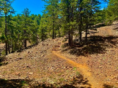 Dağların güzel manzarası