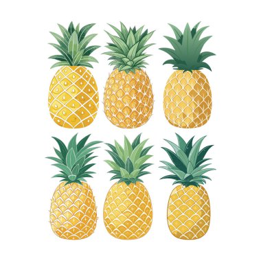 Bu resimde altı farklı ananas şebekesi yer almaktadır. Her ananas sarı ve altın tonlarında, desenli deriyle ve parlak yeşil yapraklı taçlarla bembeyaz bir zemin üzerinde yapılır..