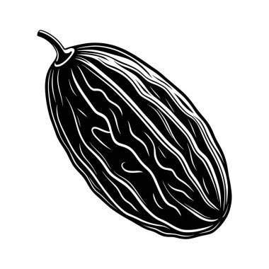 Beyaz arka planda öne çıkan çıkıntıları ve gövdesi olan bir kavunun detaylı siyah beyaz çizimi..