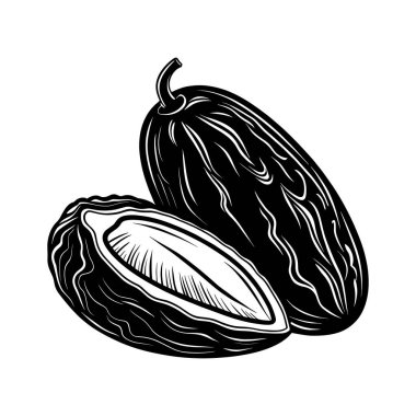 Tohumlarını ve dokusunu ortaya çıkarmak için bir tarihin kesildiği iki olgun tarihin detaylı siyah beyaz çizimi..