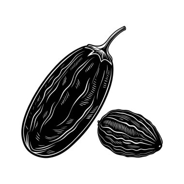 Beyaz arka planda kuru üzüm olarak bilinen iki kuru üzümün klasik, yüksek kontrastlı bir çizimi..