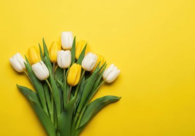Yeşil saplı ve yapraklı bir buket taze sarı ve beyaz lale parlak, katı sarı bir yüzeye yerleştirilmiştir..