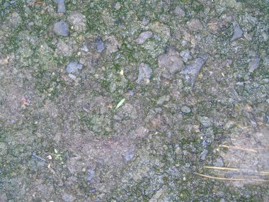 ıslak asfalt doku arka plan,