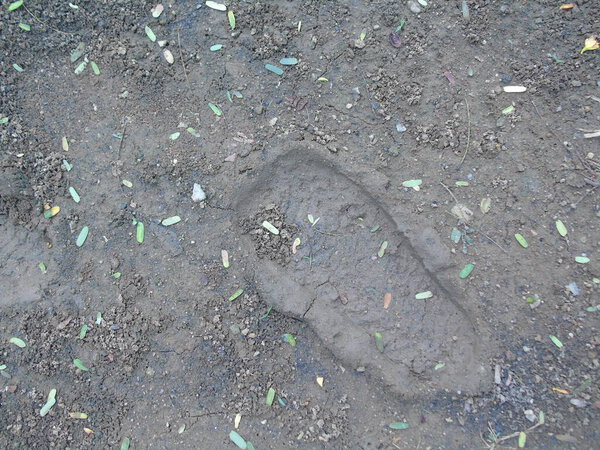 земля резиновых сапог