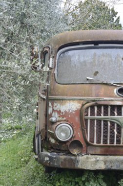 Zeytinlikte terk edilmiş eski bir minibüs.