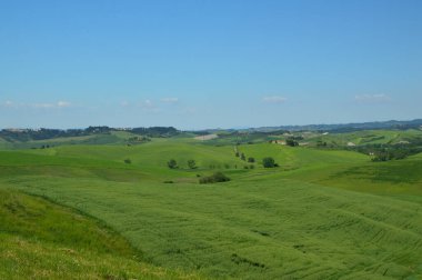 Mayıs 'ta Tuscan kırsalında yeşil tepeler