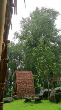 Bereketli yeşillik, geleneksel sazdan yapılar ve huzur dolu saklanma yerleri gösteren bu sakin videoyla tropikal cennetin huzurunu yaşayın. Kendini doğanın sakin kucağına bırak.