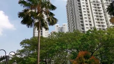 Şehir ve doğal elementlerin barışçıl bir karışımı, açık bir gökyüzü altında modern apartman binalarının yanında yüksek palmiye ağaçları yer alıyor..