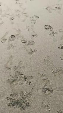 Kumlu bir sahilde bırakılan ayak izlerinin görsel keşfi, insan aktivitesi ve doğal süreçler arasındaki etkileşimi gösteriyor. Kıyı dinamiğinin geçici işaretler üzerindeki kademeli etkilerine tanık olun.