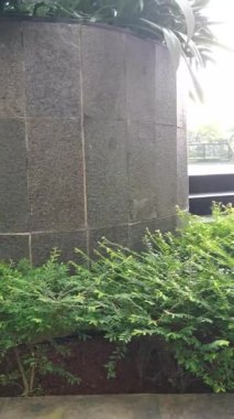 Açık havanın huzurlu ve rahatlatıcı manzarasının tadını çıkar. Bu video, arka planda rahatlatıcı bir havuz manzarası olan yemyeşil ağaçların arasına yerleştirilmiş taş sütunları içeriyor. Doğanın tadını çıkarmak için mükemmel.