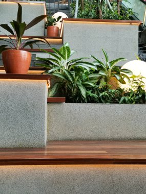 Sakin bir açık alan dikkatlice düzenlenmiş bitkilerle modern bir mimari tasarım sergiliyor. Beton dokuların etkileşimi, sıcak ahşap aksanlar ve nazik ışık huzur verici bir şey yaratır..