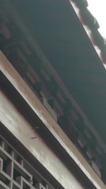 Observe the mesmerizing gentle swaying of wind chimes hanging from a traditional Asian building, creating a peaceful and serene ambiance with their sweet melodies.