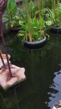 The serene beauty of a pond adorned with crane statues and aquatic plants. The tranquil water reflects the surrounding greenery, creating a harmonious balance.