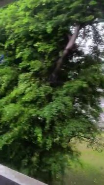 Experience the captivating blend of urban life and natural beauty in this video. Witness stunning cityscapes, modern architecture, and lush greenery as seen from a moving train.