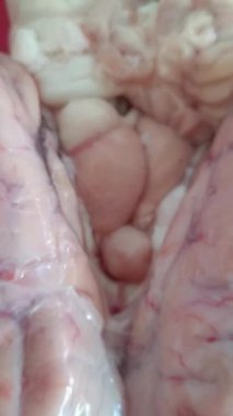 The raw cow's brain is placed on a red plate. This traditional, high-protein offal is prepared for cooking in natural light, with a focus on culinary style.