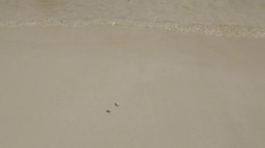 Sahilde dalgalar küçük deniz