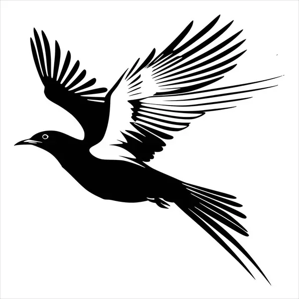 Modern Markalaşma İçin Şık Kuş Logosu Koleksiyonu