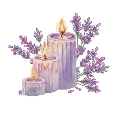 Ev kokusu için lavanta ve mor mum. Ev aromalı spa terapisi suluboya resimlerini rahatlatıyor. Güzellik, kozmetik, etiketler, organik ürünler, sağlık ve ambalaj için el çizimi tırmanış
