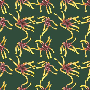 Sarı hamamelis çiçekleri pürüzsüz desen. Cadı fındığı canlı çiçek tekstili, kozmetik ambalajlama klipsi. Mutfak, perdeler, ev yapımı tekstil, bitkisel ilaç, doğal ilaç etiketleri için botanik baskısı