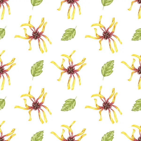stock image Witch hazel vibrant floral textile, cosmetics packaging clipart. Yellow hamamelis flowers seamless pattern. Watercolor print for kitchen, curtains, home textile, herbal medicine, natural remedy labels