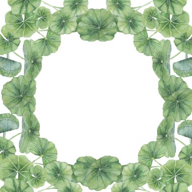 Centella asiatica kare klipsi. Suluboya gotik kola kartı şablonu metin için boşluk ile. Botanik yeşili düğünü ve bahar tasarımı. Kozmetik, güzellik etiketi ve paketleme için düzenName.