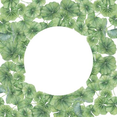 Centella asiatica yuvarlak çerçeve, çelenk klipsli. Suluboya gotik kola kartı şablonu metin için boşluk ile. Botanik yeşili düğünü ve bahar tasarımı. Kozmetik, güzellik etiketi ve paketleme için düzenName.