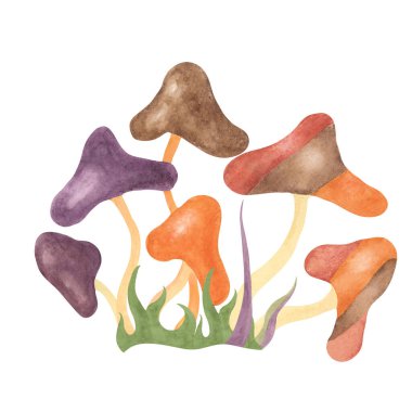 70 'lerin tarzında eski hippi mantarı ve ot. Hippie psychedelic groovy fungus clipart. Çiçek gücü etiketi, nostaljik tasarım, baskı, tırnak içinde, karikatür tarzı suluboya resimleme