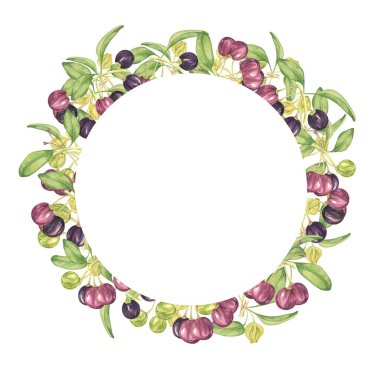 Wreath frame with blank space maqui berries. Hand drawn watercolor illustration of Chilean wineberry plant isolated on white background. Aristotelia chilensis design elements for printing,packaging, food supplements, apparel, textile,cards clipart