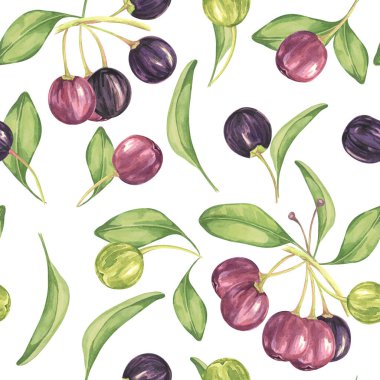 Maqui meyvesi, mor, pembe, dikişsiz yapraklı. Aristotelia chilensis tekstil suluboya süsü. Giysi, kağıt, hatıra defteri, duvar kağıdı için canlı Şili üzümü baskısı