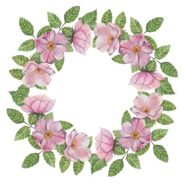 Rosehip yuvarlak çerçeve şablonu, pembe yabani gül çiçekleri ve yaprakları. Doğum günü için suluboya detaylı botanik tasarımı, yıldönümü, teşekkürler, tebrikler ve anneler günü kartları, düğün davetiyesi