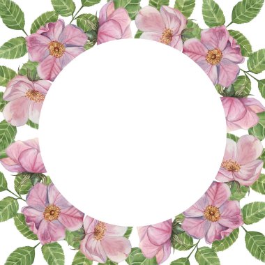 Pink Rosehip round frame template, wild rose flowers and leaves. Watercolor elegant design for birthday, anniversary, thank you, congratulations and mothers day cards, wedding invitation clipart