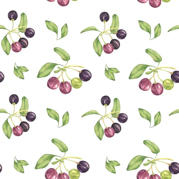 stock image Seamless pattern with maqui berries and leaves. Hand drawn watercolor illustration of Chilean wineberry plant isolated on white background. Aristotelia chilensis design elements for printing,packaging, food supplements, apparel, textile,cards