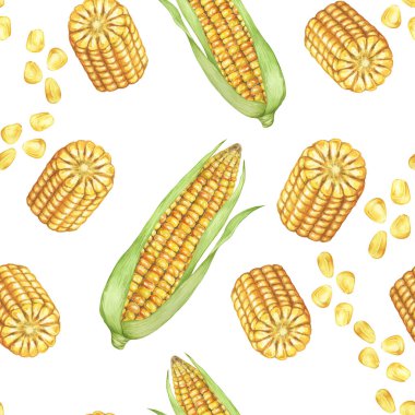 Sarı mısır ve tohumlar kusursuz desen, sonbahar tekstili, altın koçanlı arka plan. Elbiseler, duvar kağıtları, ambalaj kağıtları, hatıra defterleri, yemek paketleri, Şükran Günü için suluboya tatlı mısır botanik baskı tasarımı
