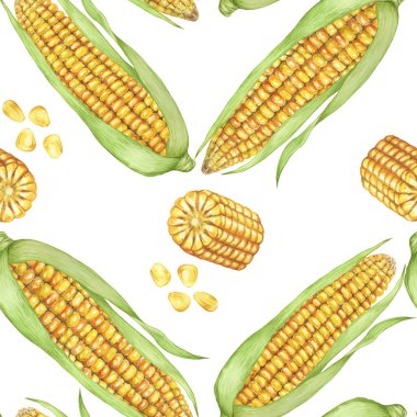 Sarı mısır ve tohumlar kusursuz desen, sonbahar tekstili, altın koçanlı arka plan. Elbiseler, duvar kağıtları, ambalaj kağıtları, hatıra defterleri, yemek paketleri, Şükran Günü için suluboya tatlı mısır botanik baskı tasarımı