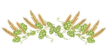 Hops ve arpa kompozisyonu suluboya. Yeşil humulus lupulus konileri ve buğday kulakları düzenleme, Oktoberfest bayrağı, Aziz Patrick günü, bira etiketleri, geleneksel festival zirvesi