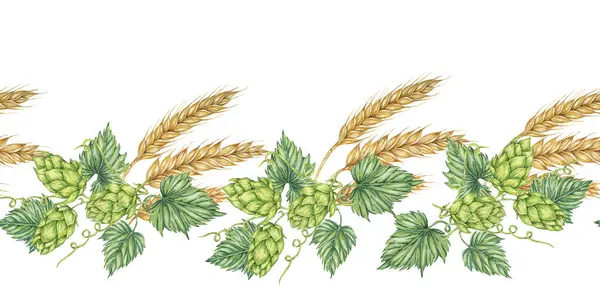 stock image Hops and barley seamless border in watercolor. Green humulus lupulus cones and wheat ears repeating pattern banner for Oktoberfest, St Patrick's day, beer labels, traditional festival clipart