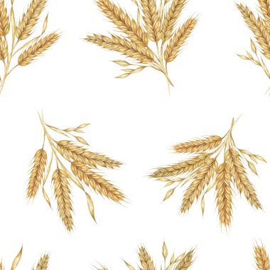 Altın buğday ya da arpa dikenleri. Suluboya deseni tekstil tasarımı için mükemmel, kırsal temalı ambalaj, çevre dostu markalaşma, ve doğa esinlenilmiş duvar kağıtları ve kırtasiye malzemeleri