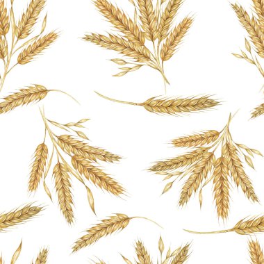 Altın arpa kümeleri ya da buğday kulakları. Sonbahar temalı tekstil, kırsal duvar kağıdı, çevre dostu ürün ambalajı ve organik markalaşma malzemeleri için suluboya deseni, Shavuot, Şükran Günü